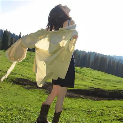 寻找法蒂玛 海报