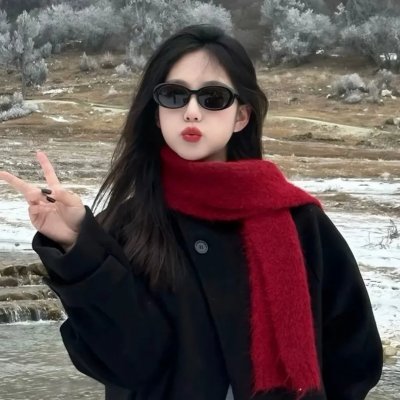 波士顿布莱奇控告嫌疑人 海报